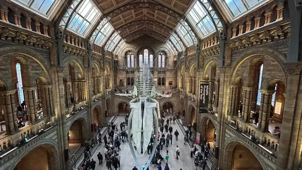 museo de historia natural kengsington