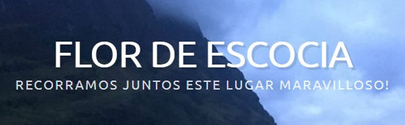 flor de escocia